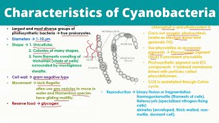 Characteristics of Cyanobacteria  Blue Green Algae [upl. by Blatman831]