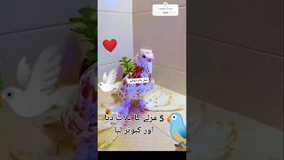 Sar bulandi rakhna hai 🤲❤️Islamic YouTubeviralvideos [upl. by Etterb214]