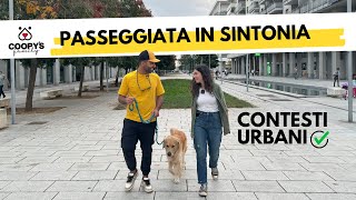 Come insegnare al cane a non tirare al guinzaglio  Tutorial con naturalmentecani [upl. by Aigneis256]