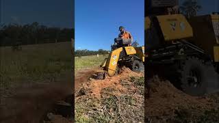 Tree stump Grinding  Malayali Farm Australia [upl. by Licastro]