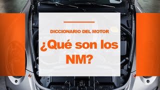 Descubre el Poder del Par Motor ¡Todo sobre los Newton Metro 🚗💥🔧  Review Newton Metro [upl. by Lucais]