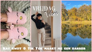 TIK TOK LAAT MIJ BAKKEN amp MIJN KAT KWIJT  Weekvlog 48 [upl. by Bertrando]