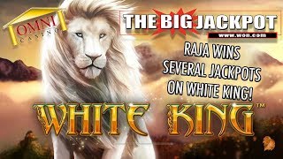 👑 Several Jackpots Won on White King at The Omni Casino 🦁 [upl. by Ytomit]