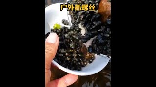 戶外捕魚：漁民使用自家的漏勺在水下捕獲巨量螺絲 逮魚摸蝦 趕海 養魚日記 [upl. by Animahs301]