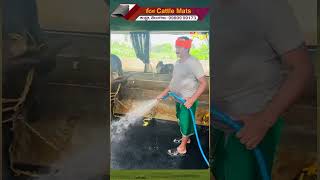 Kerala Rubber Mats rubbermats benfitsofrubbermats toneagri agrifarming trendingshorts ytshorts [upl. by Beane]