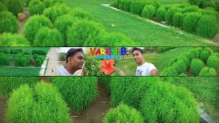 Varun B Vlogger Live Stream [upl. by Reeve]