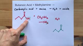 Butanoic Acid  Methylamine   Nmethylbutanamide  Water [upl. by Jamilla898]