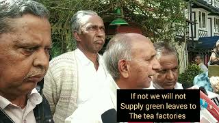 Tea growers demand regarding tea price niligiris [upl. by Ydnim]