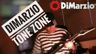 Dimarzio Tone Zone [upl. by Florinda504]