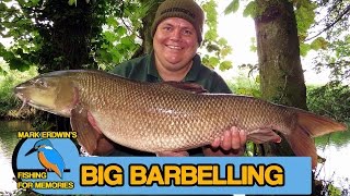 Barbel Fishing  Link legering for specimen barbel Video 70 [upl. by Aneev110]