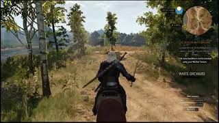 The Witcher 3 Wild Hunt Horse Riding  Gameplay  Radeon r7 450 4GB Test similar to GTX 660 [upl. by Kirsten]