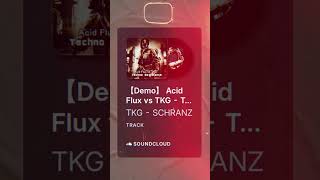 schranz Acid Flux vs track‼️ hardtechnodj hardtechnolover [upl. by Udell994]