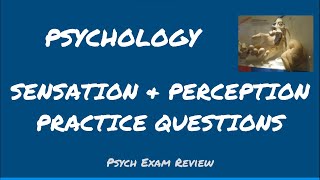 Psychology Review Questions  Sensation amp Perception [upl. by Noeled]