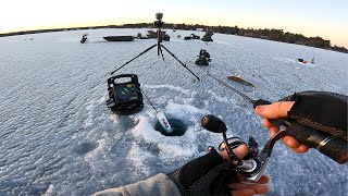 Record HEAT WAVE Ice Fishing Flash Bite Walleyes Underwater [upl. by Hannie]