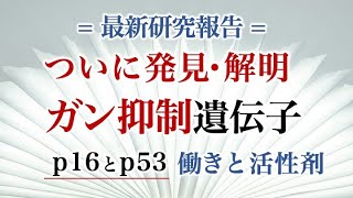 ついに発見・解明 ガン抑制遺伝子 p16とp53 働きと活性剤 [upl. by Reffotsirhc866]