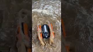 RC Amphibious Car In Water [upl. by Oren801]