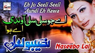 Eh Jo Seeli Seeli  Best of Naseebo Lal  HITECH MUSIC [upl. by Averyl]