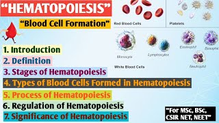 Hematopoiesis  Formation of blood  Erythropoiesis  Hematopoiesis MSc zoology Hindi notes [upl. by Emogene]