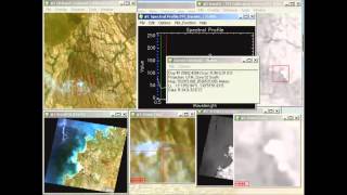 Extracting Spectral Signatures in ENVI Classic [upl. by Nanci]