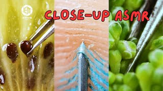 OBJECTS IN MACRO by Erion Media  Satisfying ASMR Macro Video [upl. by Alvarez]