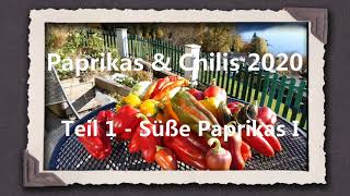 Paprika amp Chili 2020 Teil 1  Süße Paprikas I [upl. by Thedric]