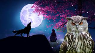 wolves howling sound wolf sound owls sound effect owl hoot owls hooting [upl. by Voe]