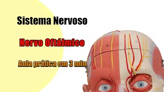 Nervo Trigêmeo  Nervo Oftálmico  Neuroanatomia  Anatomia  Anatomia Humana [upl. by Nerrej]