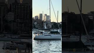 Watching the boats return after their sail around the harbour sydney shorts darlingpoint [upl. by Enaz]