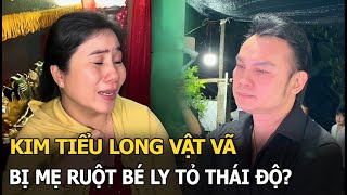 Kim Tiểu Long vật vã bị mẹ ruột bé Ly tỏ thái độ [upl. by Ahsem]