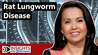 Rat Lungworm Disease What You Should Know  INSIGHTS ON PBS HAWAIʻI [upl. by Jessalyn]