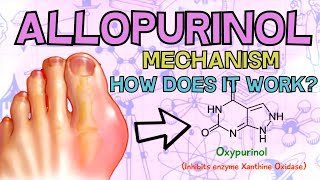 Allopurinol Zyloprim  HOW DOES IT WORK Mechanism of Action Explained in 2 Minutes [upl. by Ok]