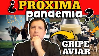 ¡ALERTA ¿EEUU EPICENTRO DE PRÓXIMA PANDEMIA [upl. by Kcorb319]