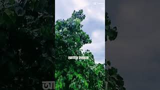 gantar sathe weatherta mile gelo🥰🙃viralvideo tiktoklove subscribe foryou [upl. by Sapers51]