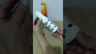 Bottle Craft For DiwaliBottle With Mirrorshildacrafty bottlecraft bottleart diy sajnavesajna [upl. by Landan184]