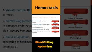 Blood Clotting  Blood Coagulation  hemostasis bloodclotting shortsfeed [upl. by Leivad]