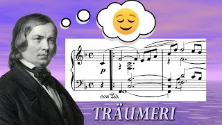 Schumann Träumerei from Kinderszenen DREAMS of CHILDHOOD  Analysis [upl. by Eladnor]