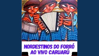 Naquele São João  NORDESTINOS DO FORRÓ [upl. by Acenes235]