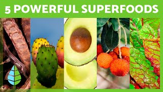 Top 5 SUPERFOODS to Boost Your Diet 🥑✅ [upl. by Adnopoz962]