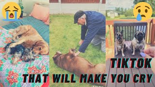 Tiktoks that will make you cry  Pet loss and grief [upl. by Karlie]