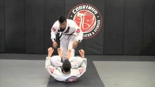 Cobrinha Brazilian Jiu Jitsu amp Fitness Alliance Los Angelesquot Cobrinhas Back take [upl. by Lerual771]