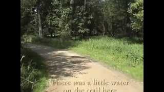 Des Plaines River Trail North [upl. by Icaj]