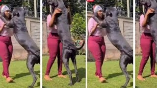 See The Reason Behind Lagos girls sleeping with dog For Money Had Been Revealed😟 [upl. by Packton]