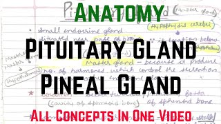 Pituitary Gland amp Pineal Gland  Endocrine Gland  Anatomy Rachana Sharir  Being Doctor 😈 [upl. by Southard]