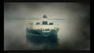 Exxon Valdez Oil Spill  Have We Recovered [upl. by Jermaine]