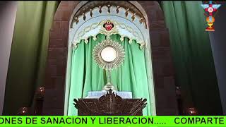 Padre Eusebio Orando 08 Julio 2021 Hora Santa con Oración de Sanación y Liberación [upl. by Asilaj870]