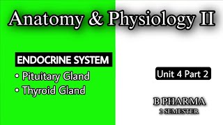 PITUITARY GLAND  THYROID GLAND ANATOMY amp PHYSIOLOGY  ENDOCRINE SYSTEM  U4 P2  HAP2  B PHARMA [upl. by Peter528]