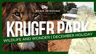 Kruger National Park at Christmas Wildlife and Wonder [upl. by Ttayh374]