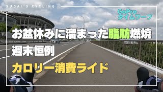 【サイクリング】鶴見川サイクリングロード 週末恒例カロリー消費ライド！【ロードバイク】 [upl. by Jahdai459]