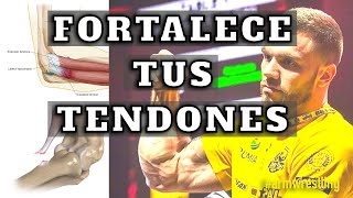 FORTALECE tus Tendones 💪🏼 lucha de brazos  armwrestling 2020 [upl. by Adnolat484]