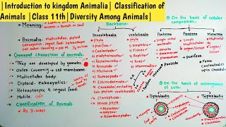 Introduction to kingdom Animalia Classification of Animals Class 11thDiversity Among Animals [upl. by Lehcin]